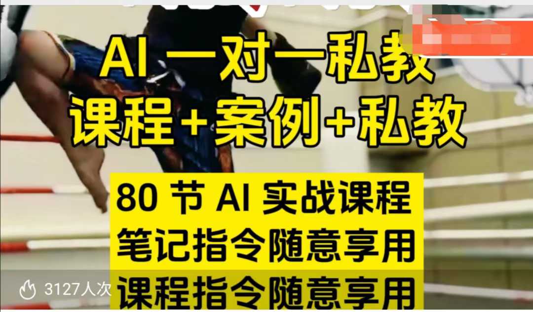 AI指令实战课，课程+案例，80节AI实战课程，笔记指令随意享用，课程指令随意享用（更新7月）-网创副业教程