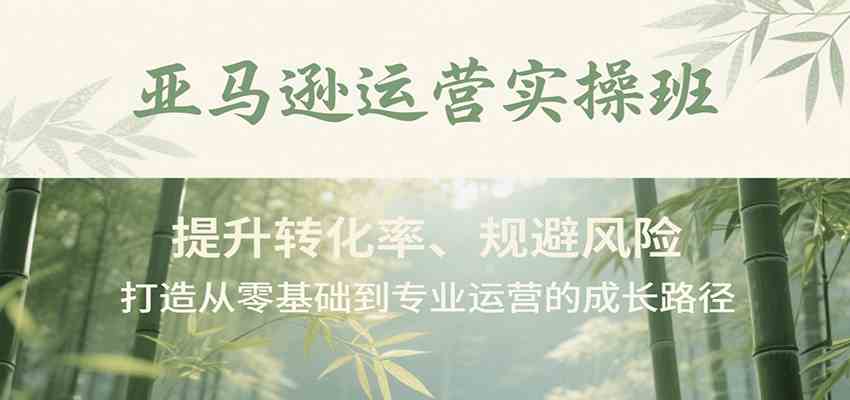 亚马逊运营实操班，提升转化率、规避风险，打造从零基础到专业运营的成长路径-网创副业教程