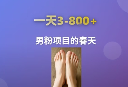 AI一键生成美女素材，一天收益3-8张，男粉项目的春天-网创副业教程