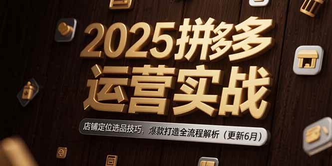（15235期）2025拼多多运营实战：店铺定位选品技巧，爆款打造全流程解析（更新6月）-网创副业教程
