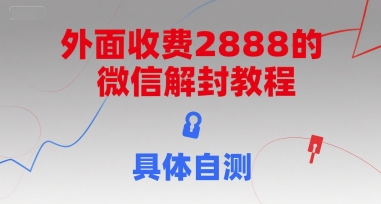 （15301期）外面收费2888的微信解封教程，具体自测-网创副业教程