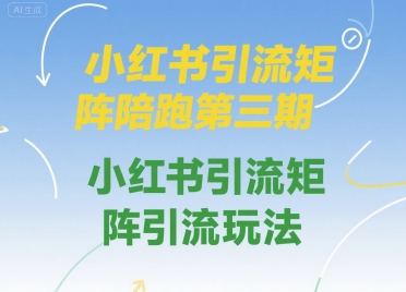 小红书引流矩阵陪跑第三期，小红书引流矩阵引流玩法-网创副业教程