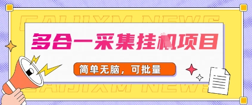 多合一采集项目，无脑操作，简单批量-网创副业教程