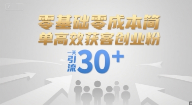 零基础零成本简单高效获客创业粉，一天引流30+-网创副业教程
