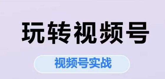 玩转视频号，视频号实战系列课-网创副业教程