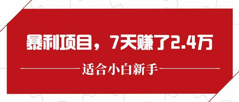（15228期）最新暴利项目，每单收益轻松在300以上，7天赚了2.4万-网创副业教程