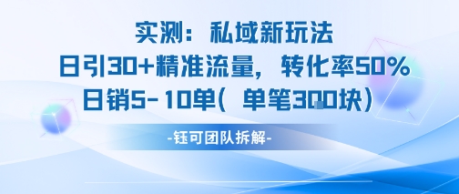 实测私域新玩法日引30加精准流量转化率50%日销5-10单每笔3张-网创副业教程