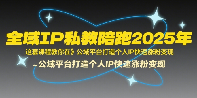 全域IP私教陪跑2025年，这套课程教你在公域平台打造个人IP快速涨粉变现-网创副业教程