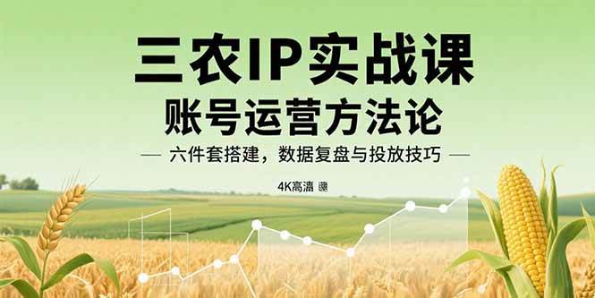 （15864期）三农IP实战课：账号运营方法论，六件套搭建，数据复盘与投放技巧-网创副业教程