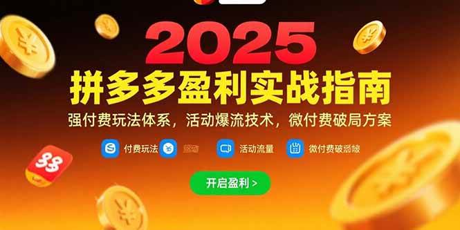 （15357期）拼多多盈利实战指南，强付费玩法，活动爆流技术，微付费破局方案(更新7月)-网创副业教程
