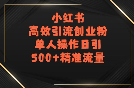 小红书高效引流创业粉，单人操作日引500+精准流量-网创副业教程