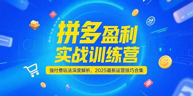 （15183期）拼多多盈利实战训练营，强付费玩法深度解析，2025最新运营技巧合集-网创副业教程