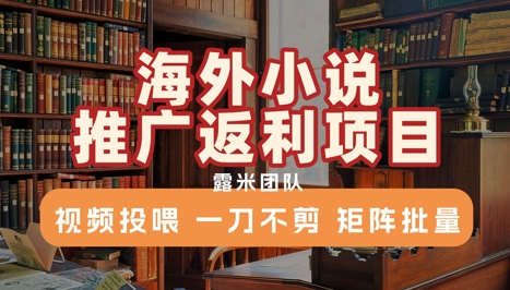 海外小说推广返利项目，视频投喂， 一刀不剪，矩阵批量-网创副业教程