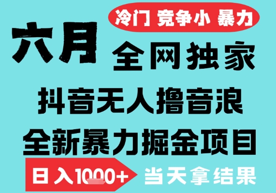 2025年6月高爆抖音无人直播最新撸音浪掘金项目，无脑日入1k+，低门槛小白可做，可矩阵放大【揭秘】-网创副业教程