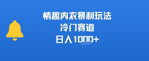 情趣内衣暴利玩法，冷门赛道，日入1k+-网创副业教程