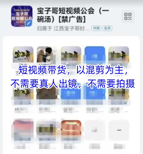 宝子哥头部团队短视频带货，以混剪为主，不需要真人出镜，不需要拍摄【更新8月】-网创副业教程