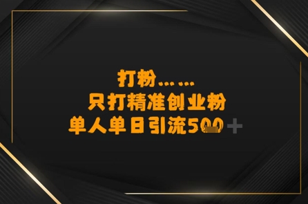 打粉只打精准创业粉，单人单日引流500+-网创副业教程
