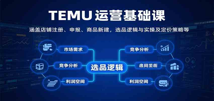 TEMU运营基础课：涵盖店铺注册、申报、商品新建，选品逻辑与实操及定价策略等-网创副业教程