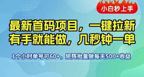 最新首码项目，一键拉新有手就能做，几秒钟一单，1个小时单号可60+，矩阵批量做每天5张【揭秘】-网创副业教程