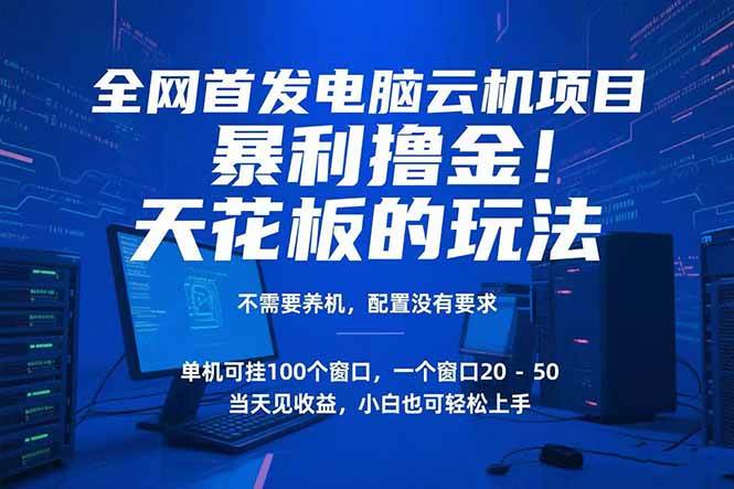（15323期）电脑云机项目 暴力撸金玩法，不需要养机 配置没有要求 单机100个窗口一…-网创副业教程