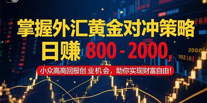（15198期）掌握外汇黄金对冲策略，日赚 800 – 2000，小众高回报创业机会，助你实…-网创副业教程