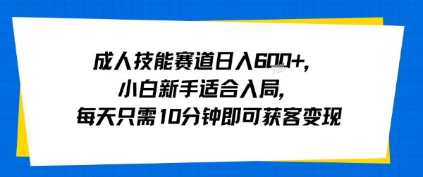 成人技能赛道日入多张，小白新手适合入局，每天只需10分钟即可获客变现-网创副业教程