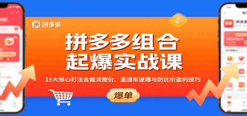 拼多多组合起爆实战课：15大核心打法含截流提价、直通车速爆与防比价盈利技巧-网创副业教程