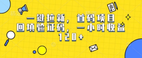 一键拉新，首码项目，回填验证码，一小时收益1张-网创副业教程