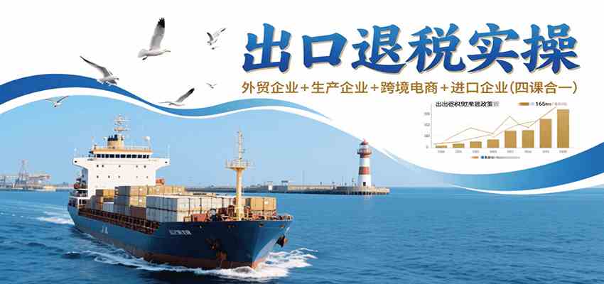 出口退税实操-外贸企业+生产企业+跨境电商+进口企业（四课合一）-网创副业教程