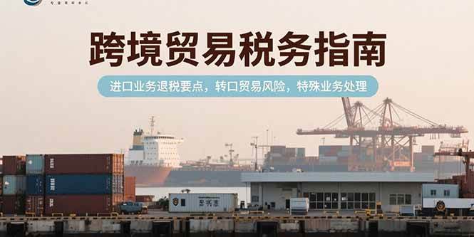 （15381期）跨境贸易税务指南，进口业务退税要点，转口贸易风险，特殊业务处理-网创副业教程