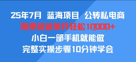 25年7月蓝海项目，公转私电商，随便做做单月轻松1w，小白一部手机就能做，完整实操步骤10分钟学会-网创副业教程