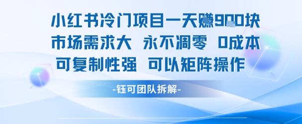 小红书冷门项目一天收益9张，市场需求大，0成本，可复制性强可以矩阵操作-网创副业教程