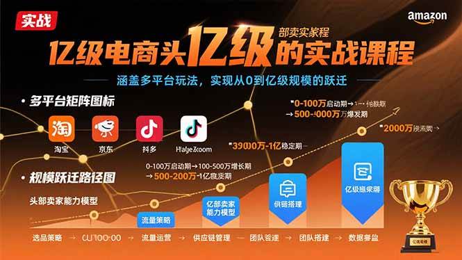 （15803期）亿级电商头部卖家的实战课程：涵盖多平台玩法，实现从0到亿级规模的跃迁-网创副业教程