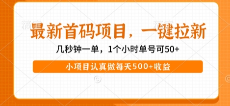 最新首码项目，操作最简单，收益高，一键拉新，1个小时单号可50+，小项目认真做每天5张+收益【揭秘】-网创副业教程