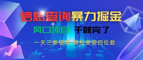 信息查询暴力掘金，一天三条视频，轻松变现四位数，风口项目干就完了【揭秘】-网创副业教程