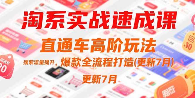 （15374期）淘系实战速成课，直通车高阶玩法，搜索流量提升，爆款全流程打造(更新7月)-网创副业教程