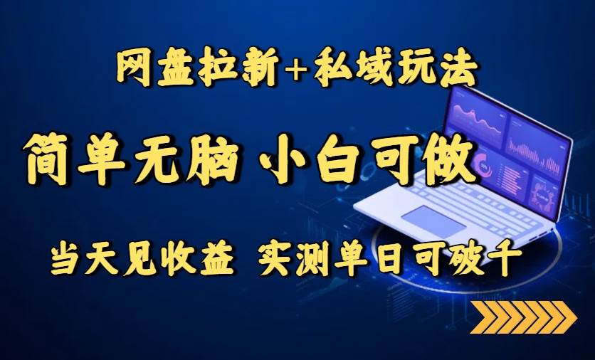 （15744期）网盘拉新+私域玩法，简单无脑，小白可做，当天见收益，实测单日可破千-网创副业教程