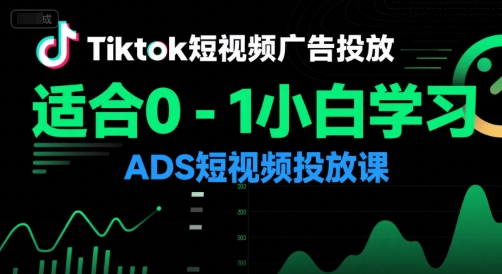 Tiktok短视频广告投放，适合0-1小白学习ADS短视频投放课-网创副业教程