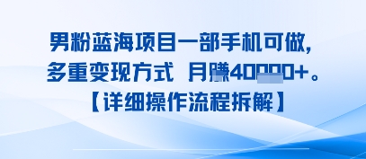 8月新男粉蓝海项目一部手机可做，多重变现方式 月入4W+【详细操作流程拆解】-网创副业教程