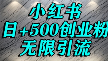 小红书无限引流创业粉，单人操作日引500+精准创业粉-网创副业教程