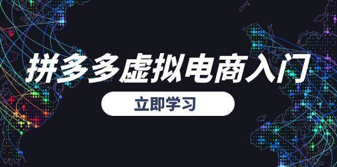（15158期）拼多多虚拟电商入门，精准选品方法论，无货源模式起盘技巧-网创副业教程