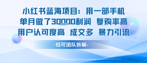 小红书蓝海项目，一部手机单月做了3W利润，小白也能月入过1W用户认可度高成交多-网创副业教程