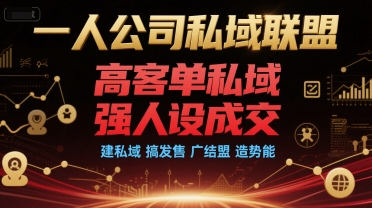 一人公司私域联盟，高客单私域，强人设成交，建私域 搞发售 广结盟 造势能-网创副业教程