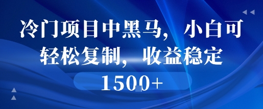冷门项目中黑马，小白可轻松复制，收益稳定1.5k-网创副业教程