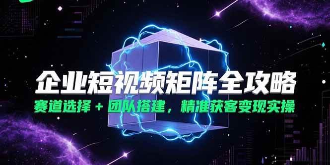 （15242期）企业短视频矩阵全攻略，赛道选择+团队搭建，精准获客变现实操-网创副业教程