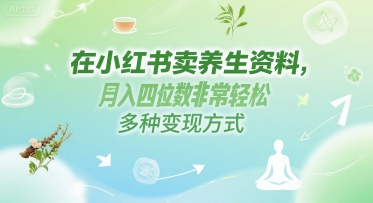 在小红书卖养生资料，月入四位数非常轻松，多种变现方式-网创副业教程