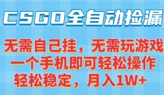 CSGO自动捡漏项目，最新独家玩法，一个手机可操作，新手小白轻松月入1W+，操作简单易上手【揭秘】-网创副业教程