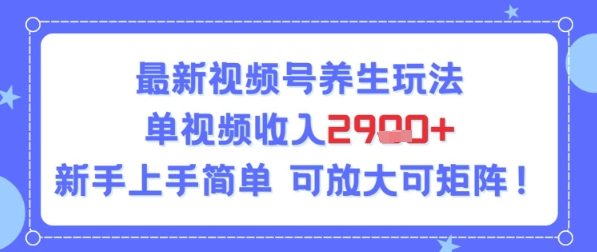 视频号养生玩法，单视频收入2.9k，新手上手简单-网创副业教程