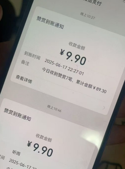 二次元男粉快速变现项目，私域卖虚拟产品，百分利润-网创副业教程