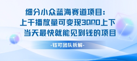 小众蓝海赛道项目：当天变现1k+适合新手操作 +适合长期玩-网创副业教程